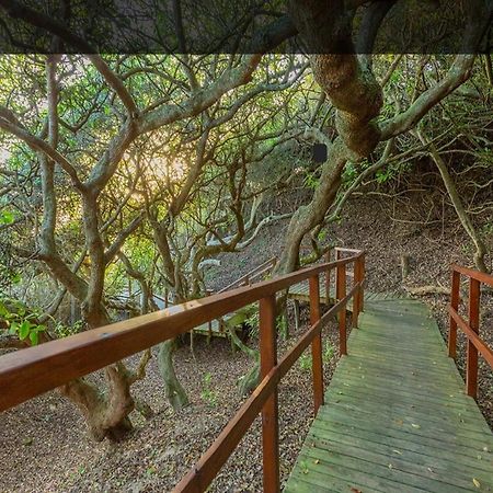 Moquini Guesthouse Wilderness Extérieur photo